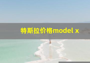 特斯拉价格model x